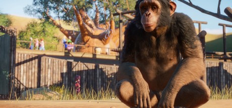 Planet Zoo RU/CIS PC Steam CD Key
