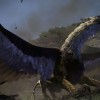 Dragon's Dogma: Dark Arisen AR XBOX One / Xbox Series X|S CD Key Dragon's Dogma: Dark Arisen AR XBOX One / Xbox Series X|S CD Key