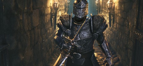 The Elder Scrolls Online - High Isle Upgrade Digital Download CD Key