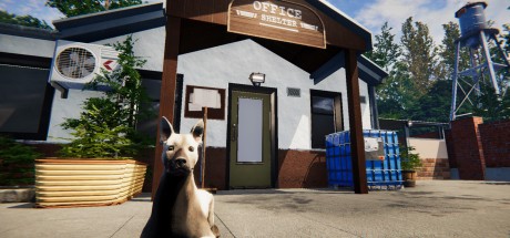 Animal Shelter PC Steam CD Key