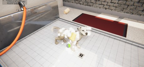 Animal Shelter PC Steam CD Key