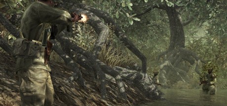 Call of Duty: World at War PC Steam CD Key