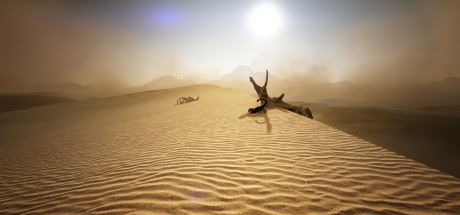 Black Desert Online Traveler Edition EU/NA Digital Download CD Key