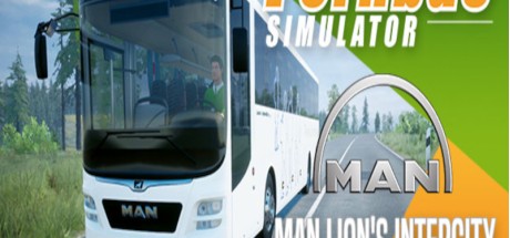 Fernbus Simulator - MAN Lion's Intercity DLC Steam CD Key