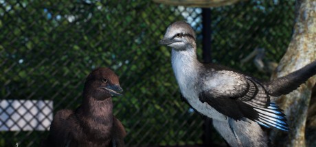 Prehistoric Kingdom Steam CD Key