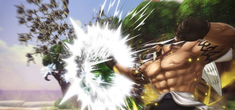 ONE PIECE: PIRATE WARRIORS 4 - Character Pass DLC EU Steam CD Key