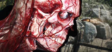 Sniper Elite 5 Deluxe Edition AR XBOX One / Windows 10 CD Key