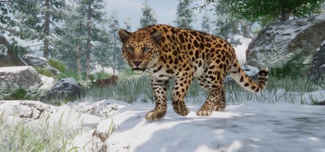 Planet Zoo - Conservation Pack DLC Steam CD Key