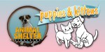 Animal Shelter - Puppies & Kittens DLC EN Language Only PC Steam CD Key