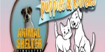 Animal Shelter - Puppies & Kittens DLC EN Language Only PC Steam CD Key