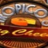 Tropico 5 - The Big Cheese DLC Steam CD Key