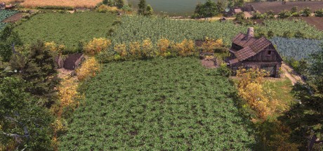 Farthest Frontier EU Steam CD Key