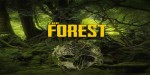 The Forest EU PC Steam CD Key