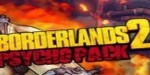 Borderlands 2 - Psycho Character Pack EN/IT/FR Languages Only DLC Steam CD Key