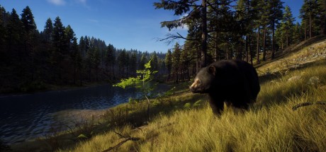 Way of the Hunter Elite Edition PC Steam CD Key