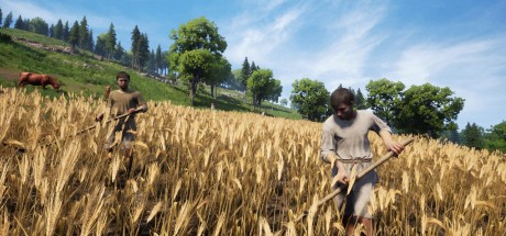 Medieval Dynasty Xbox Series X|S CD Key