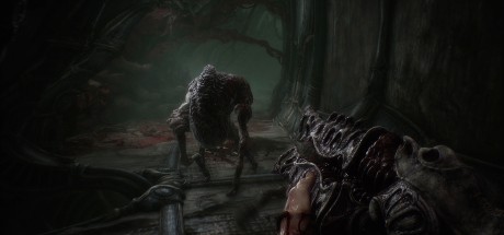 Scorn EU Steam CD Key