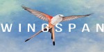 Wingspan AR XBOX One CD Key