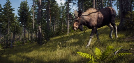 Way of the Hunter EU Xbox Series X|S CD Key