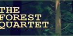 The Forest Quartet Steam CD Key