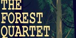 The Forest Quartet Steam CD Key