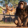 Planet Zoo: Premium Edition 2023 Steam CD Key