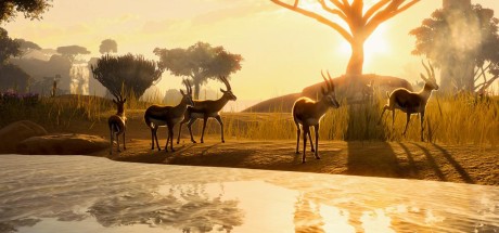 Planet Zoo Premium Edition 2023 EU Steam CD Key