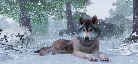 Planet Zoo Ultimate Edition 2023 EU Steam CD Key