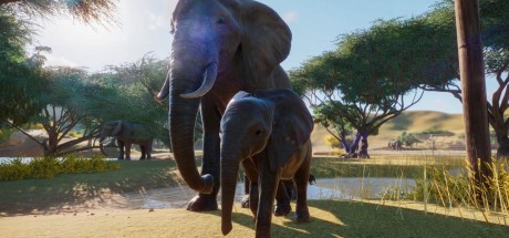 Planet Zoo Deluxe Edition TR PC Steam CD Key