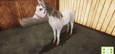 Animal Shelter - Horse Shelter DLC PC Steam CD Key Animal Shelter - Horse Shelter DLC PC Steam CD Key