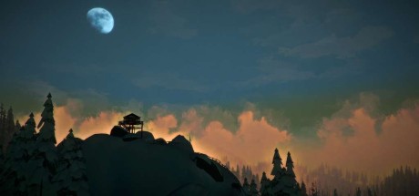 The Long Dark: Survival Edition Steam CD key