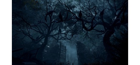 Resident Evil 4 Meta Quest CD Key