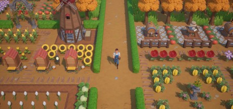 Coral Island LATAM Steam CD Key