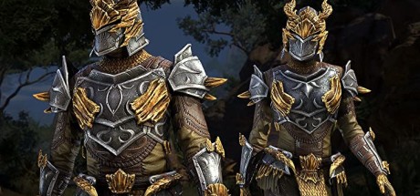 The Elder Scrolls Online - Dragon Slayer Bundle #1 DLC XBOX One / Series X|S CD Key