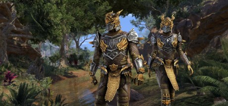 The Elder Scrolls Online - Dragon Slayer Bundle #1 DLC XBOX One / Series X|S CD Key