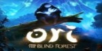 Ori and the Blind Forest Steam CD Key