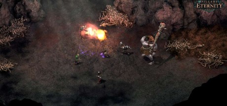 Pillars of Eternity Royal Edition Steam CD Key Pillars of Eternity Royal Edition Steam CD Key