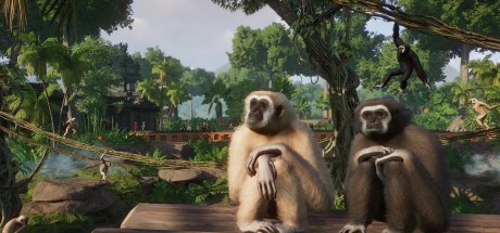 Planet Zoo: Tropical Pack DLC EU Steam CD Key Planet Zoo: Tropical Pack DLC EU Steam CD Key