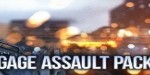 PAYDAY 2: Gage Assault Pack Steam CD Key