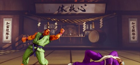 Street Fighter V - Season 5 Character Pass DLC EU Steam CD Key