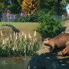 Planet Zoo + Aquatic + Arctic + North America Animal DLCs EU Steam CD Key