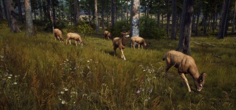 Way of the Hunter Elite Edition RoW Steam CD Key