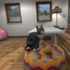 House Flipper Pets Bundle AR XBOX One / Xbox Series X|S / Windows 10/11 CD Key