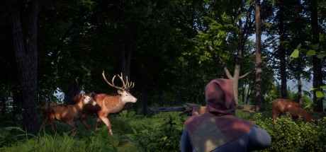 Medieval Dynasty Digital Supporter Edition EU Steam CD Key