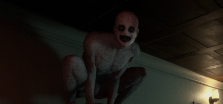 The Mortuary Assistant EU Steam CD Key