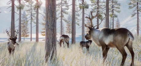 Planet Zoo - Arctic Pack DLC EU PC Steam CD Key