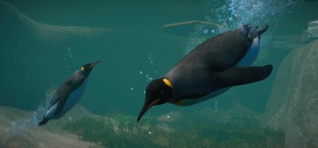 Planet Zoo - Aquatic Pack DLC EU PC Steam CD Key