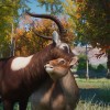 Planet Zoo - Wetlands Animal Pack DLC EU Steam CD Key