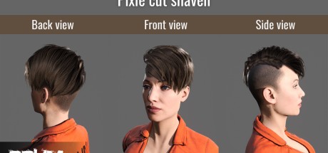 SCUM - Female Hair Pack DLC Steam CD Key