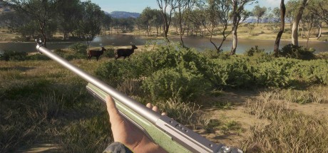 theHunter: Call of the Wild - Emerald Coast Australia DLC PC Steam CD Key